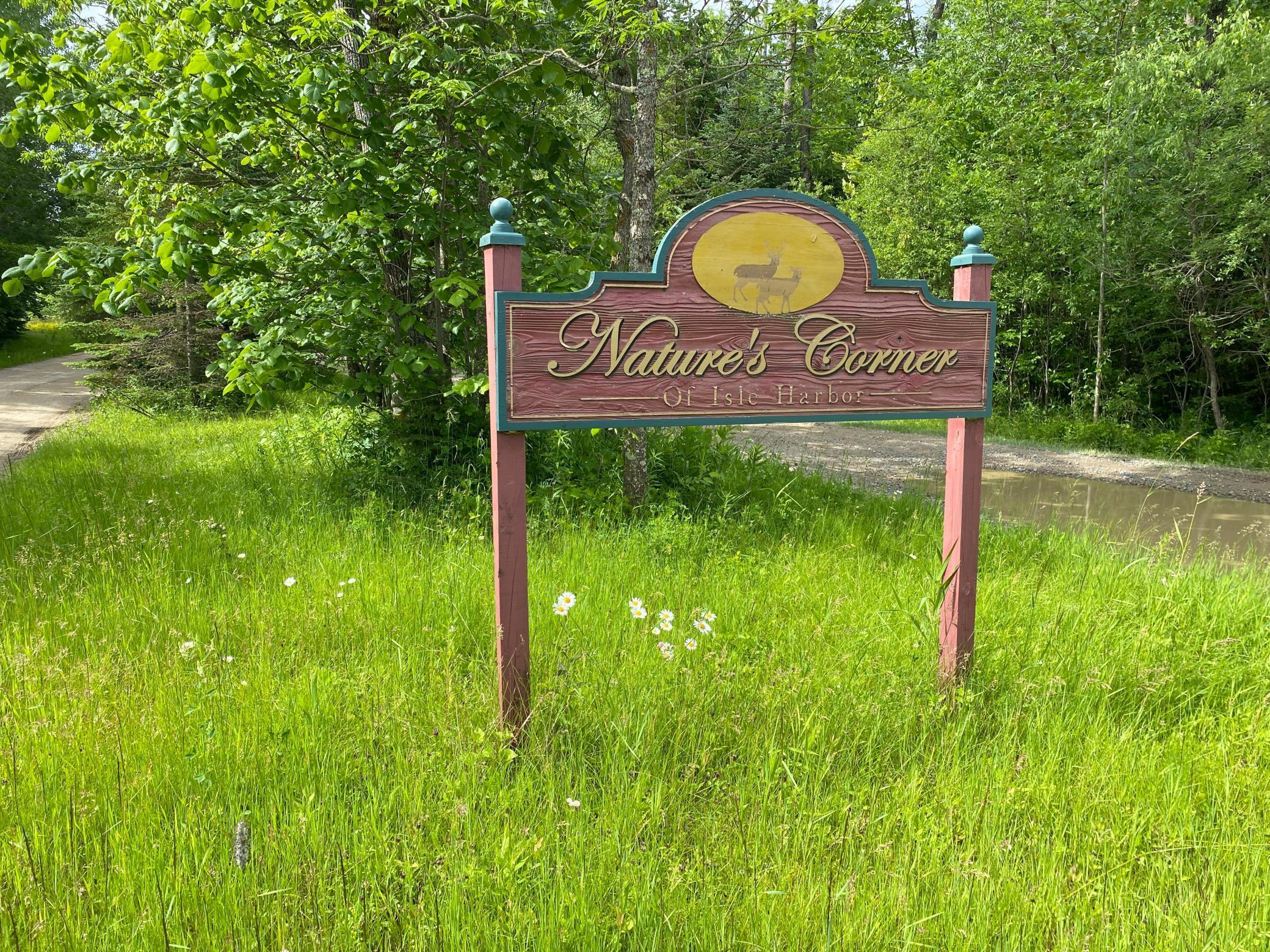 Lot 20 Natures Way, Federal Dam, Minnesota image 4