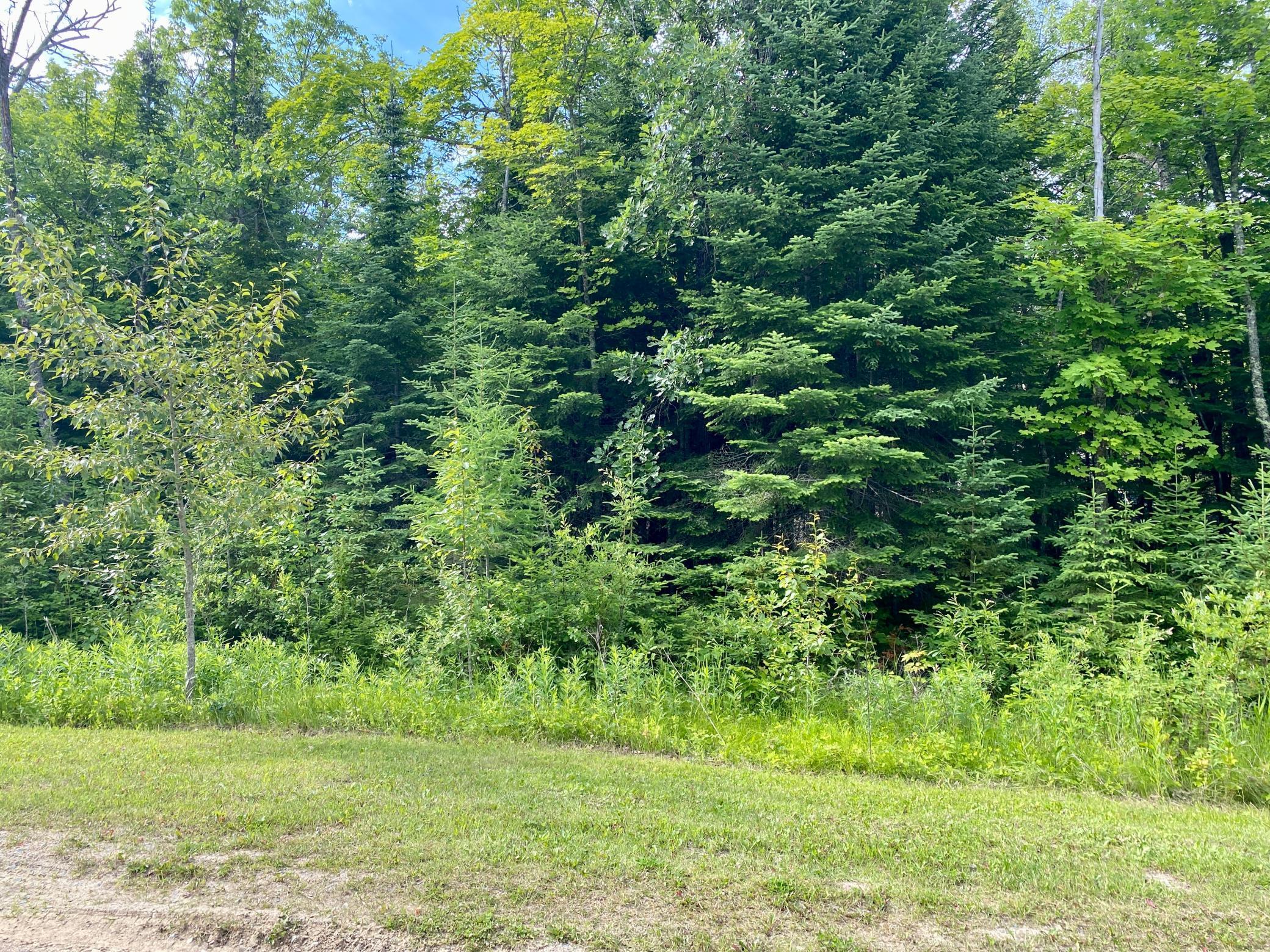 Lot 20 Natures Way, Federal Dam, Minnesota image 3