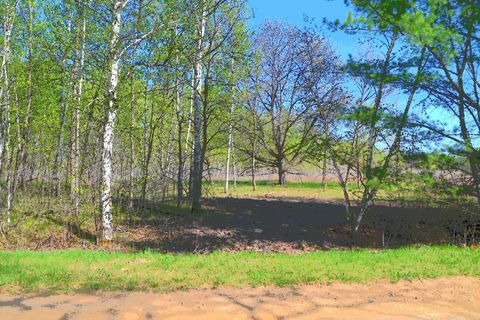 Vacant Land For Sale - TBD Poplar Lane<br/> Todd County, Browerville, MN 56438