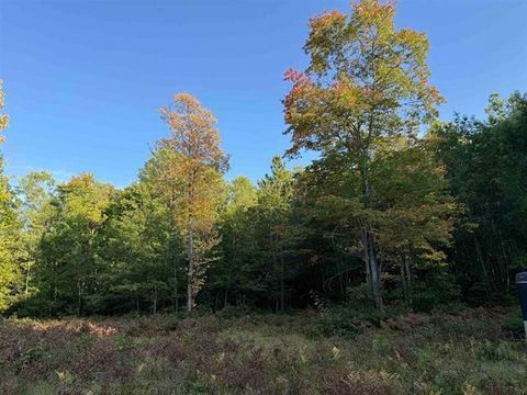 Vacant Land For Sale - 000 Us Hwy 2<br/> Bayfield County, Iron River, WI 54847
