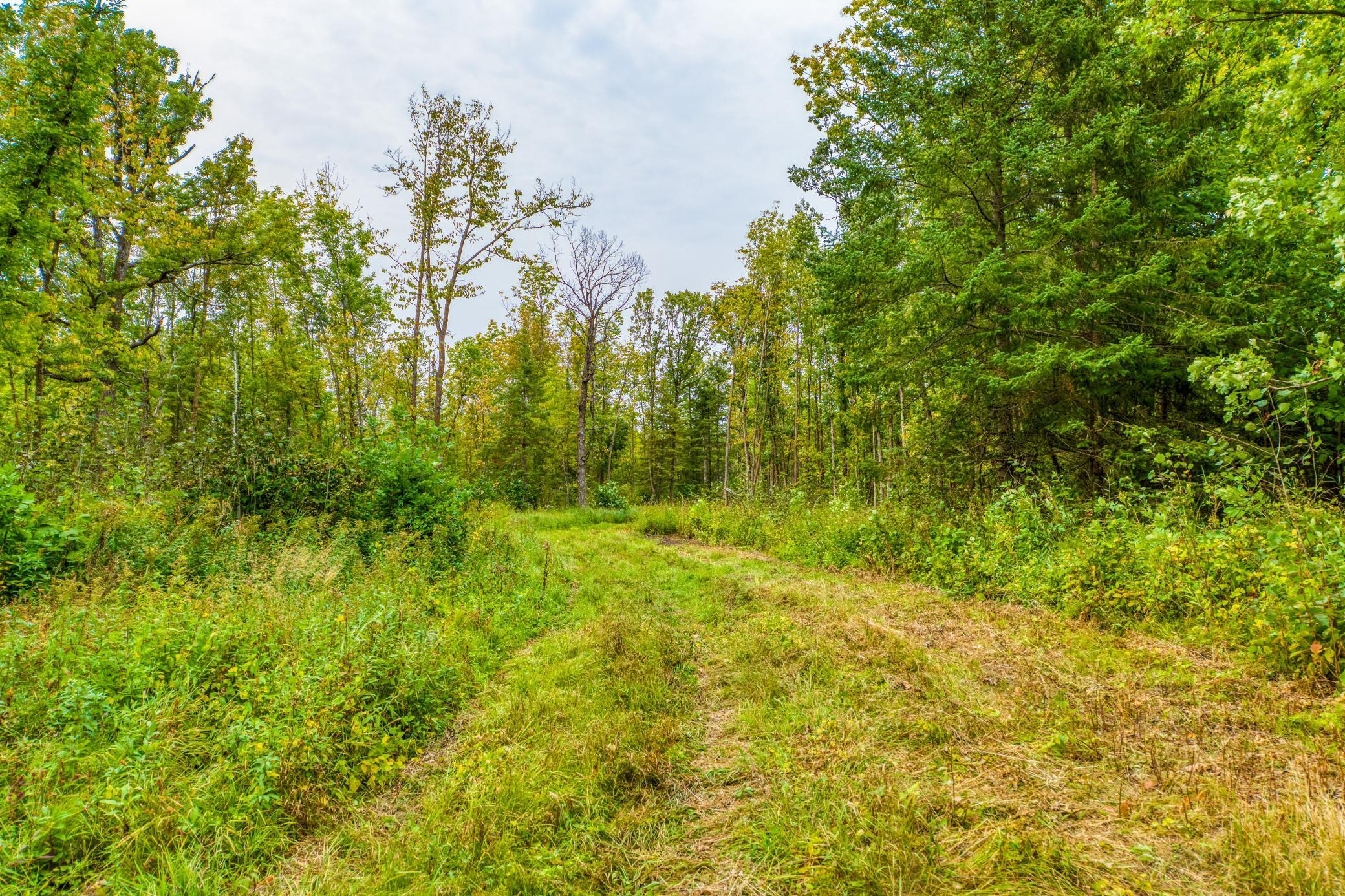 12479 Battle Road, Blackduck, Minnesota image 28