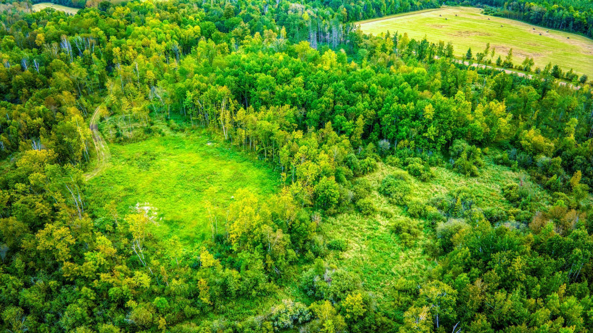 12479 Battle Road, Blackduck, Minnesota image 14