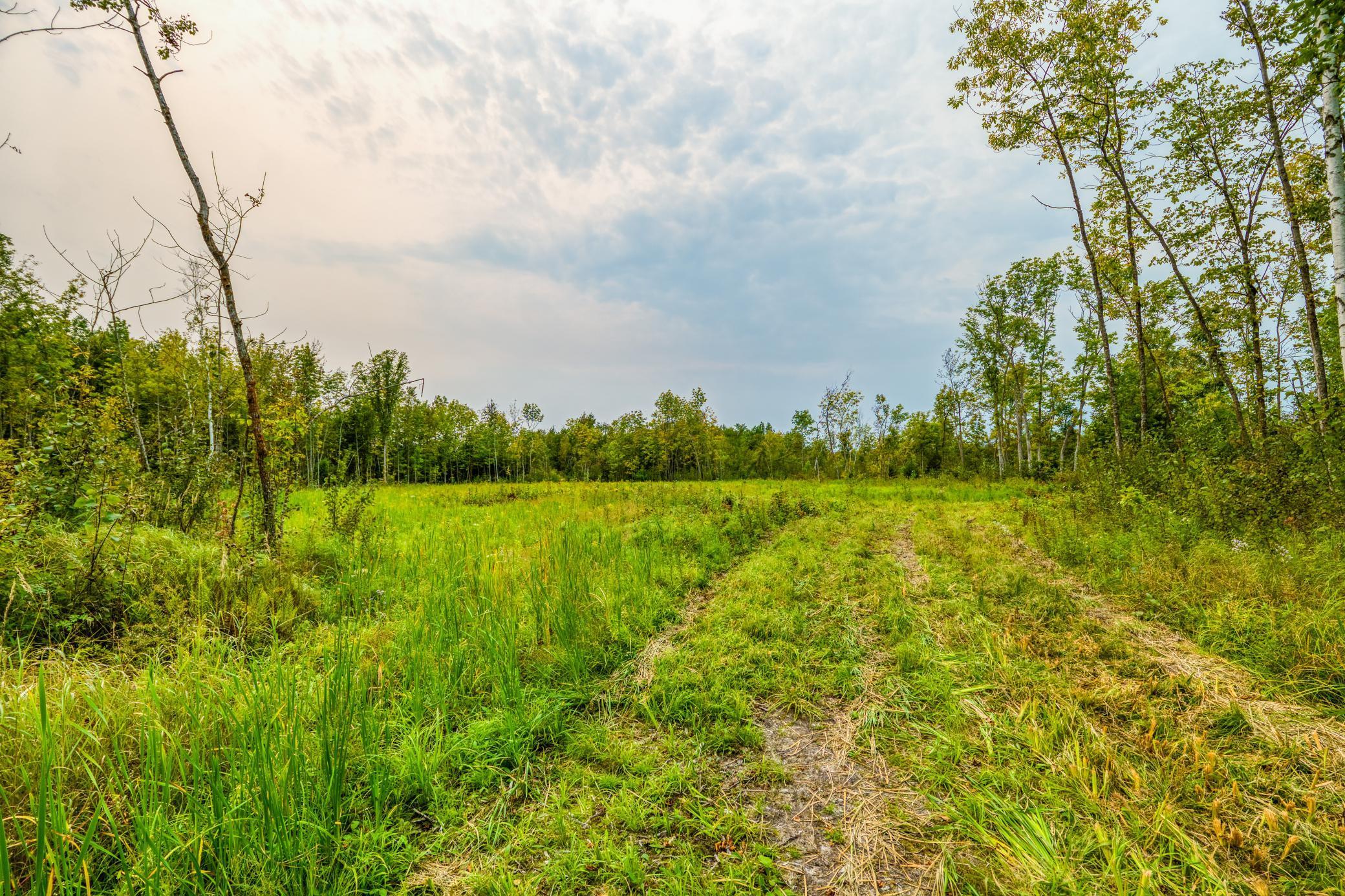 12479 Battle Road, Blackduck, Minnesota image 32