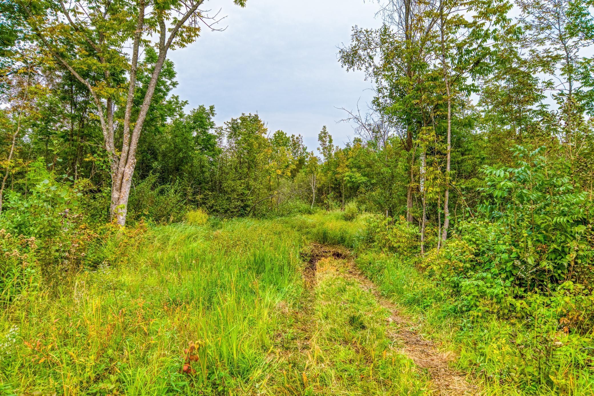 12479 Battle Road, Blackduck, Minnesota image 33