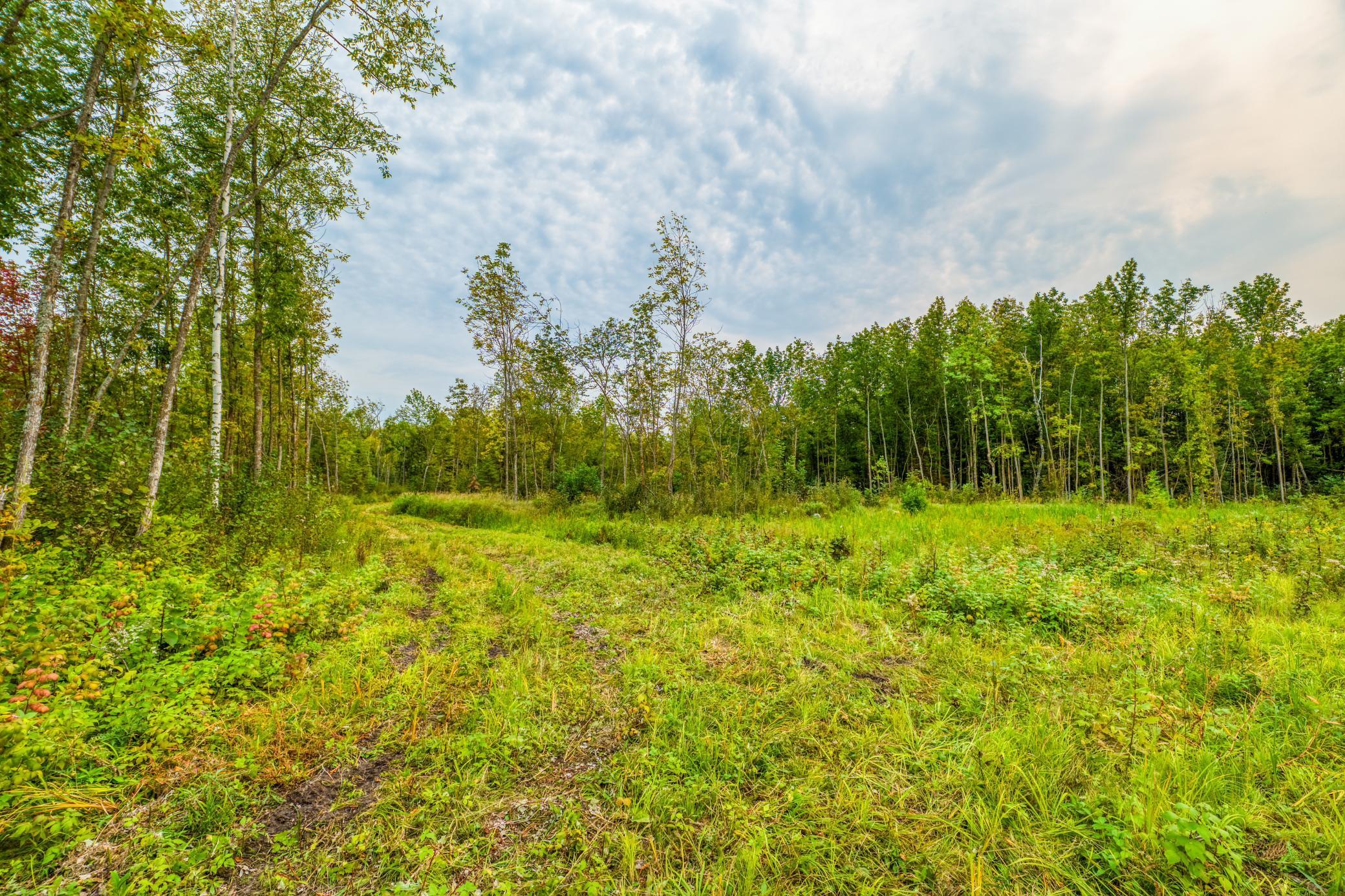 12479 Battle Road, Blackduck, Minnesota image 34