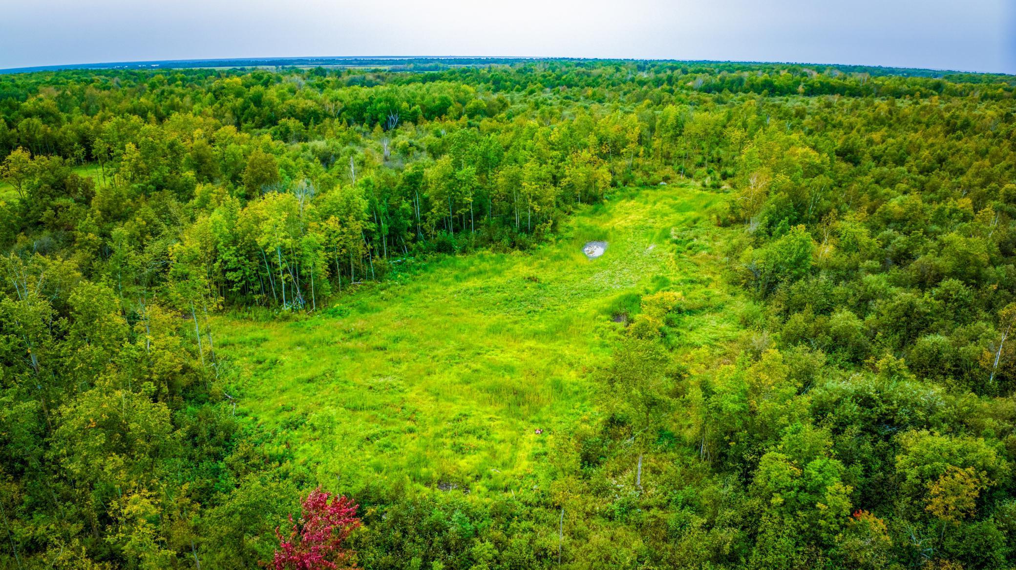 12479 Battle Road, Blackduck, Minnesota image 7