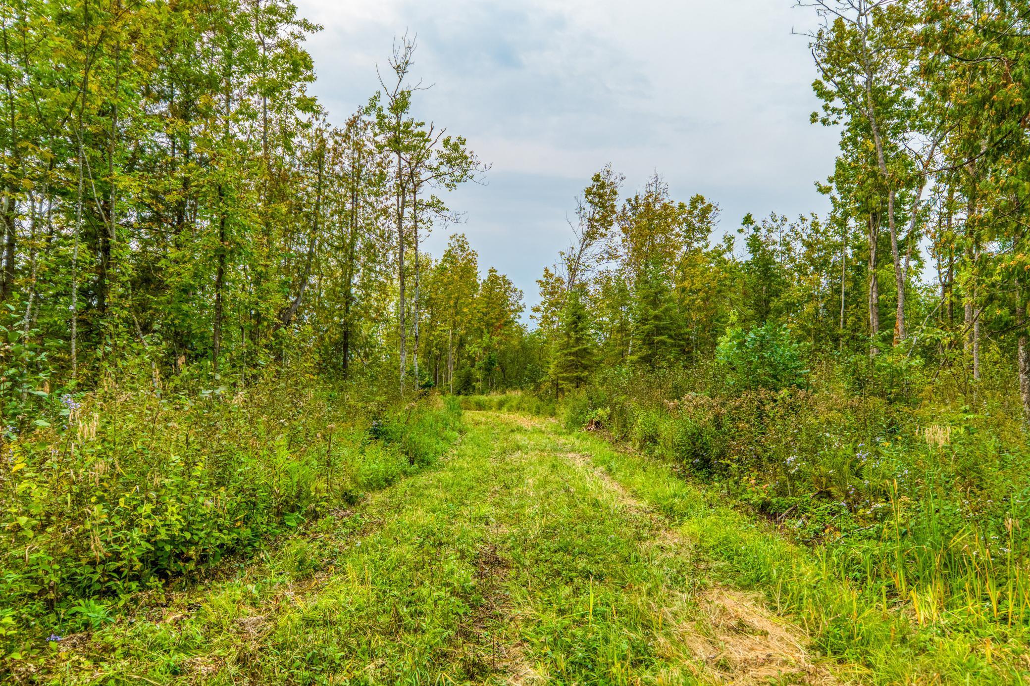 12479 Battle Road, Blackduck, Minnesota image 31