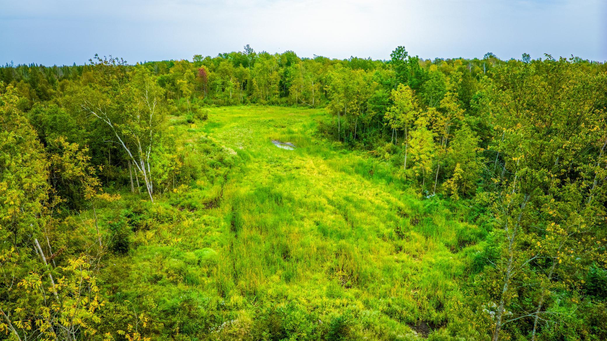 12479 Battle Road, Blackduck, Minnesota image 9