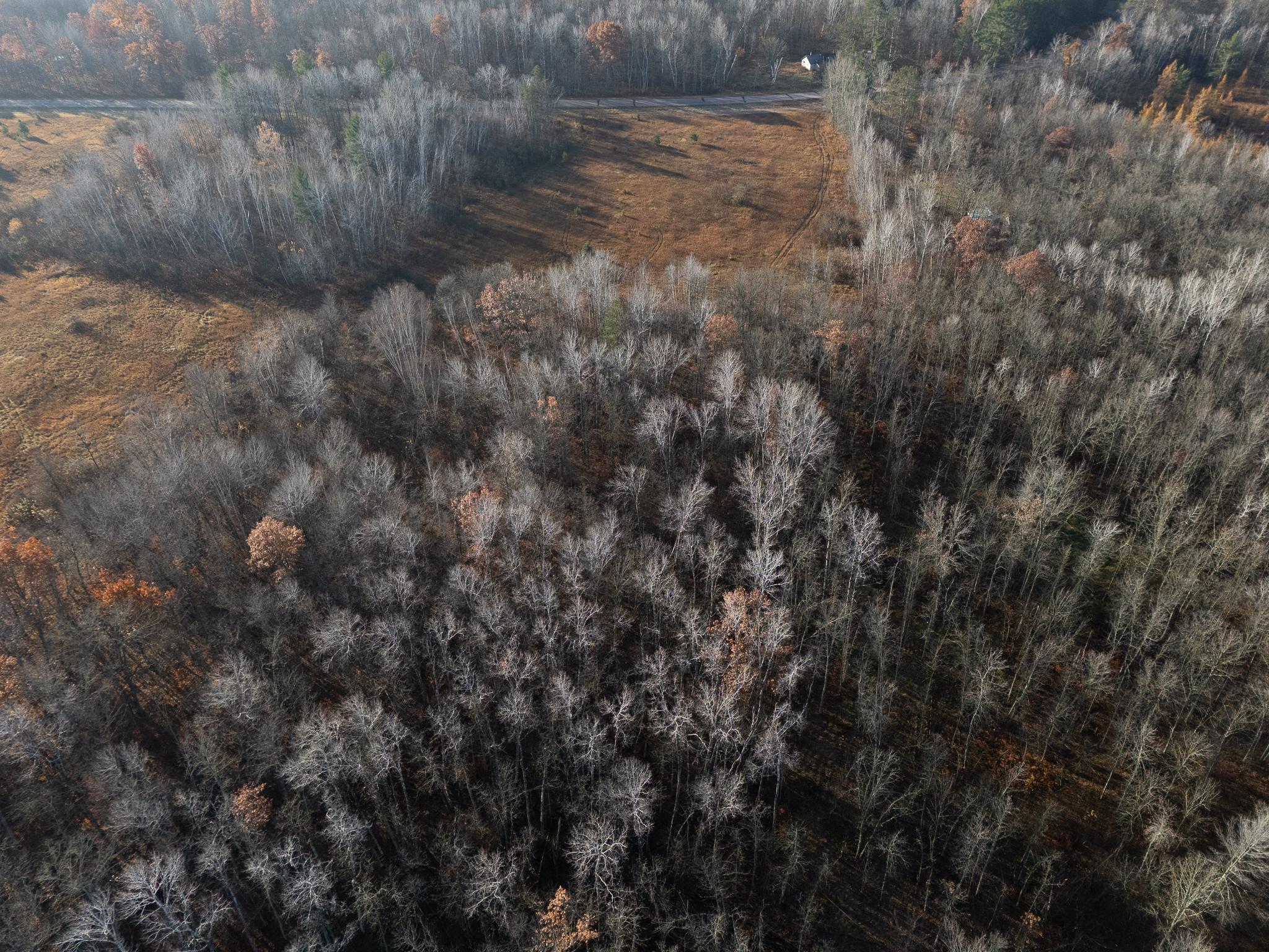 TBD County Road 36, Emily, Minnesota image 8