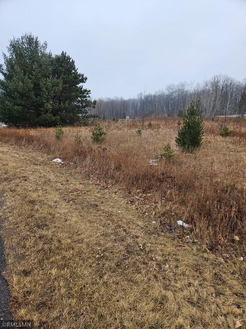 Vacant Land For Sale - XXX Little Falls Circle<br/> Amery, WI 54001