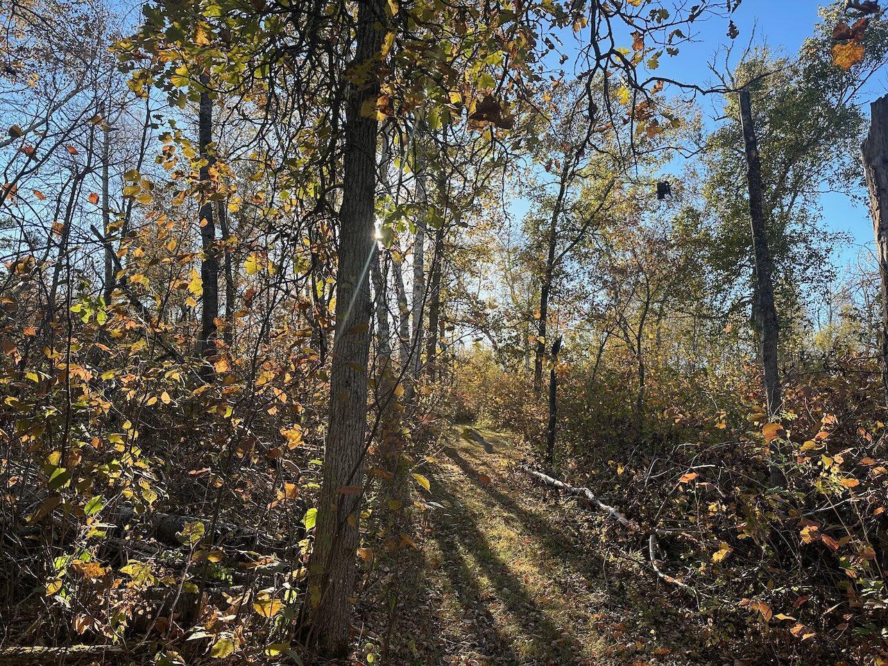24996 Horseshoe Road, Akeley, Minnesota image 24