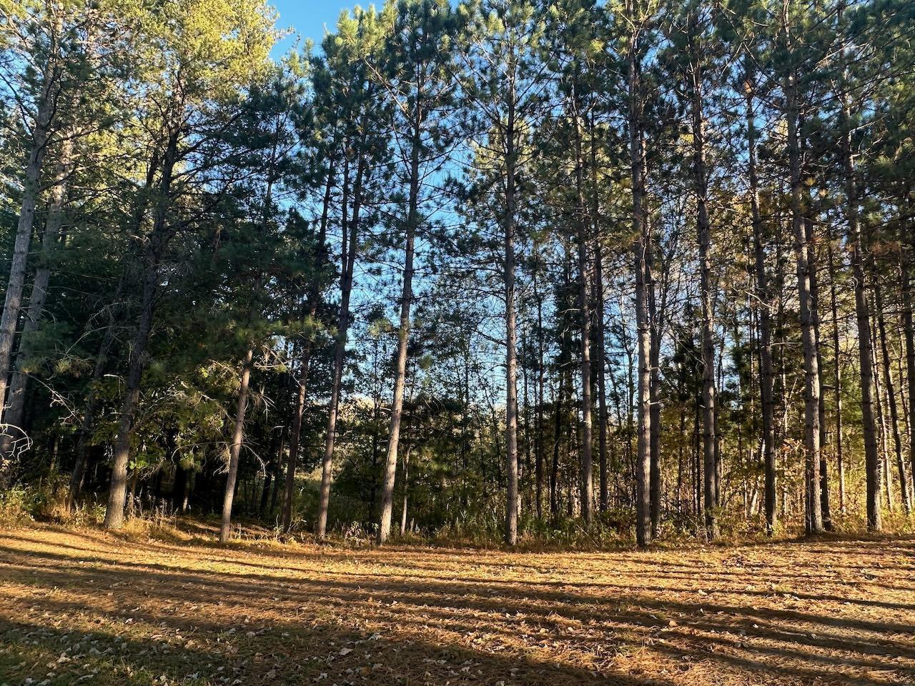 24996 Horseshoe Road, Akeley, Minnesota image 22