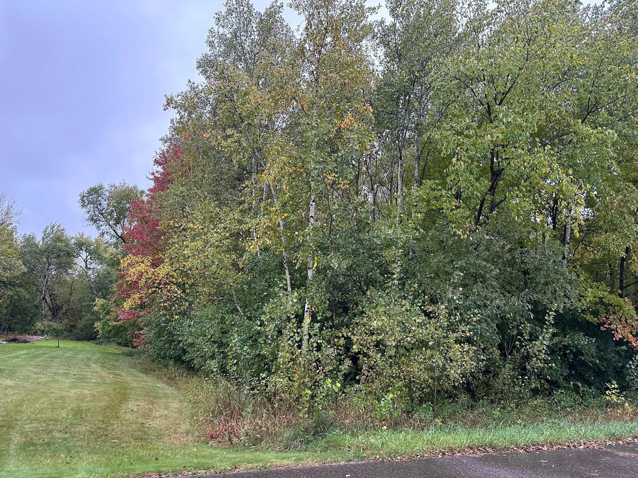 212 169th Avenue, Ham Lake, Minnesota image 1