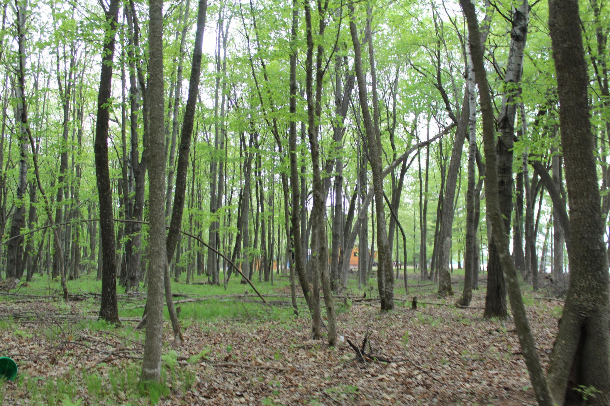 Lot 1 Lonestar Road, Siren, Wisconsin image 10