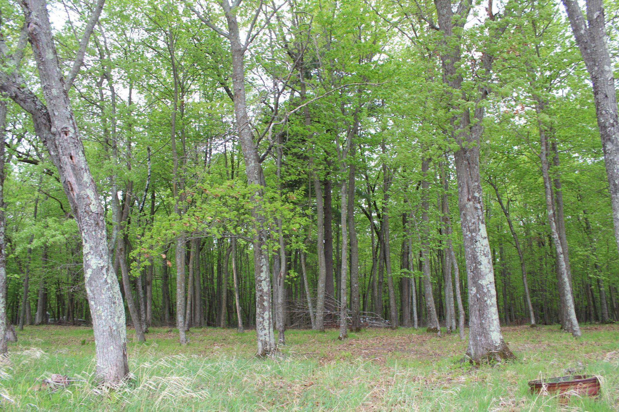 Lot 1 Lonestar Road, Siren, Wisconsin image 14