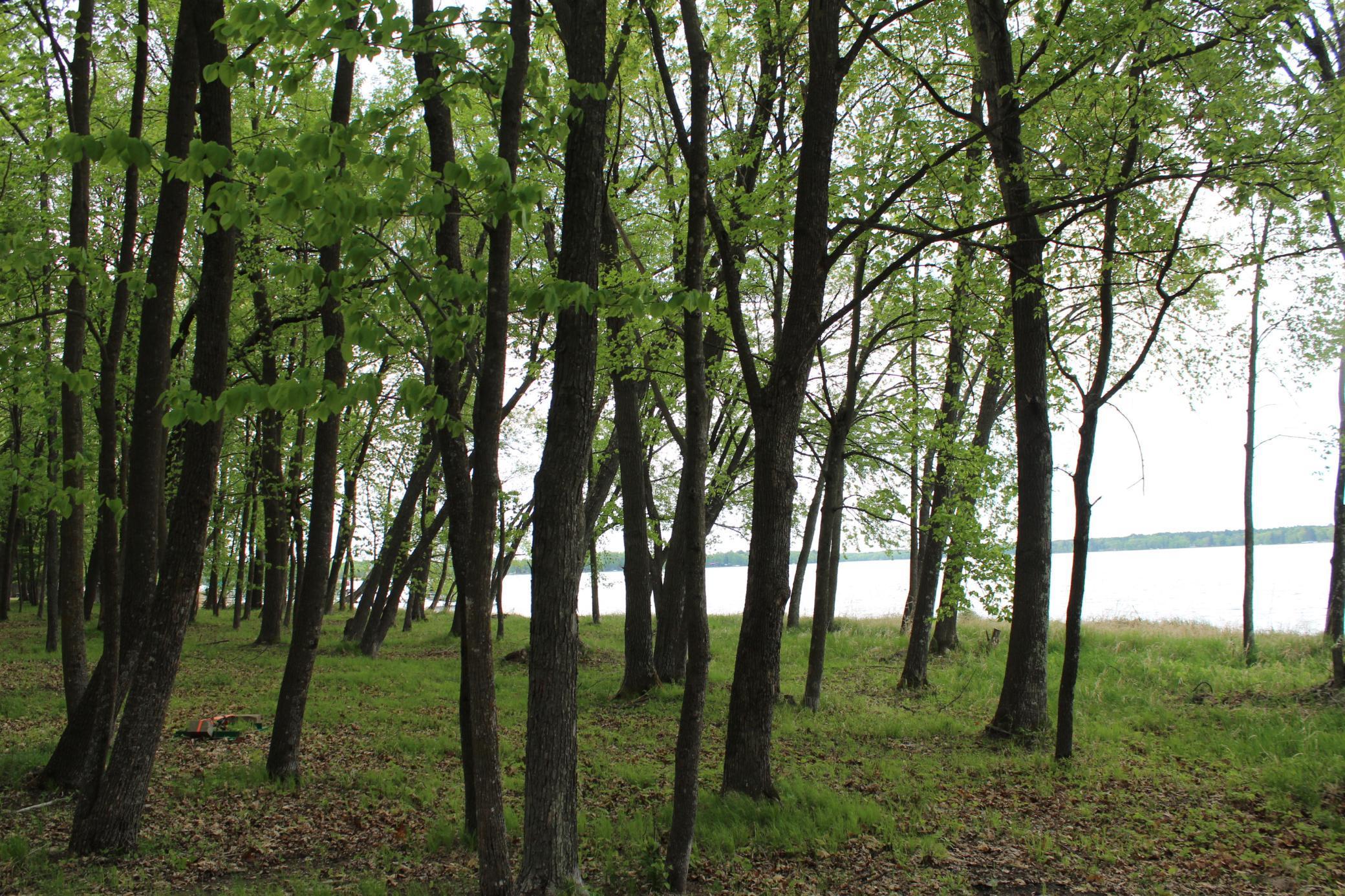Lot 1 Lonestar Road, Siren, Wisconsin image 9