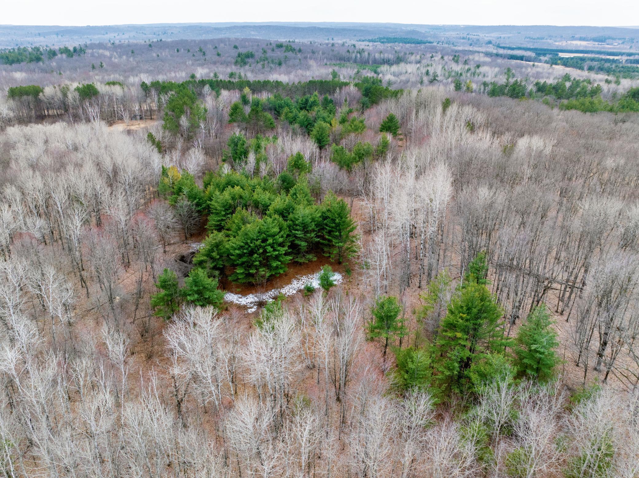 1684 Hilltop Road, Shell Lake, Wisconsin image 5