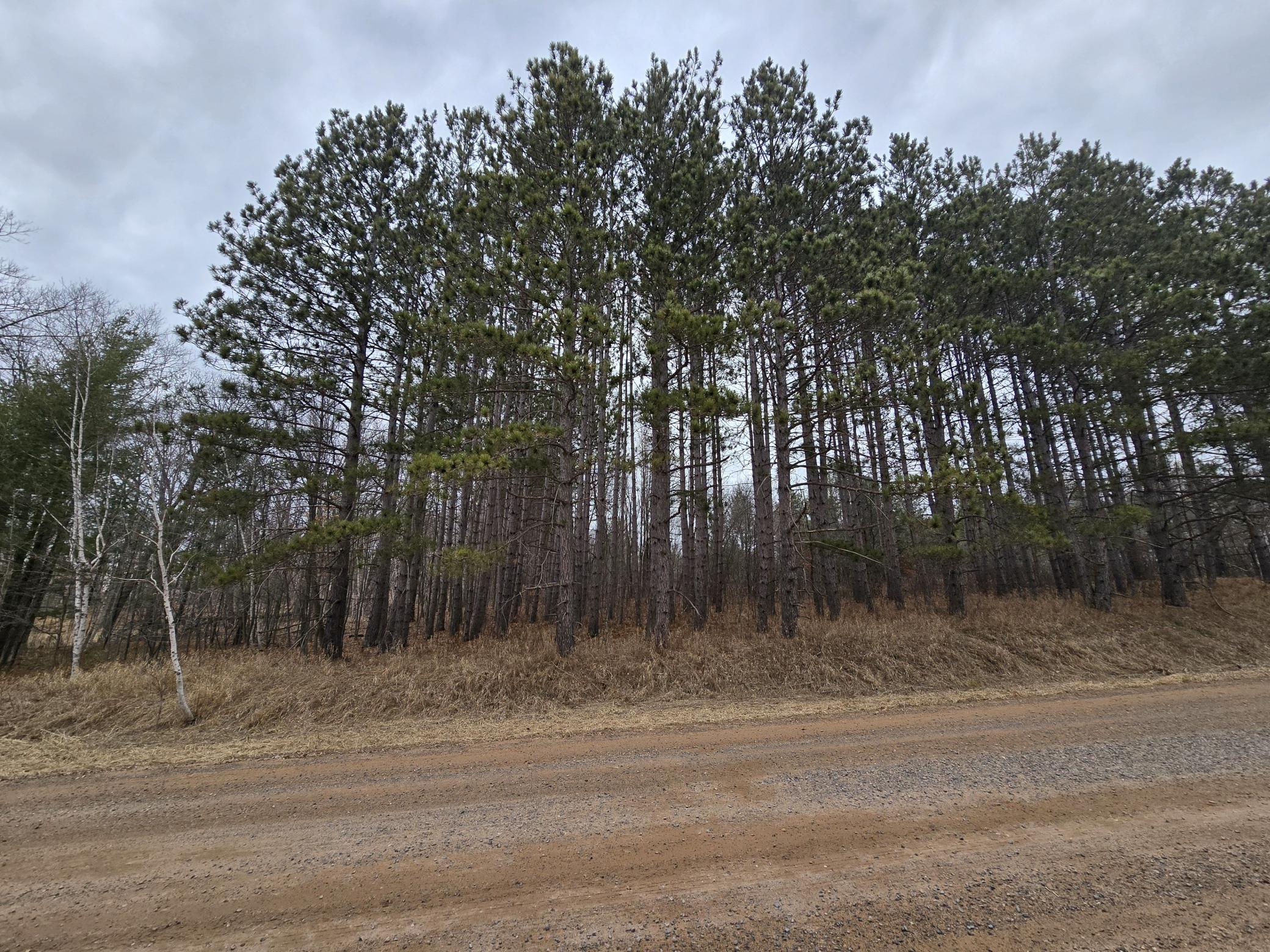 1684 Hilltop Road, Shell Lake, Wisconsin image 4