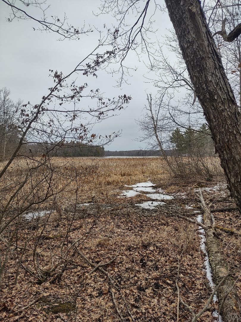 Lot 1 XXX Blaisziks Bay Lane, Hayward, Wisconsin image 4