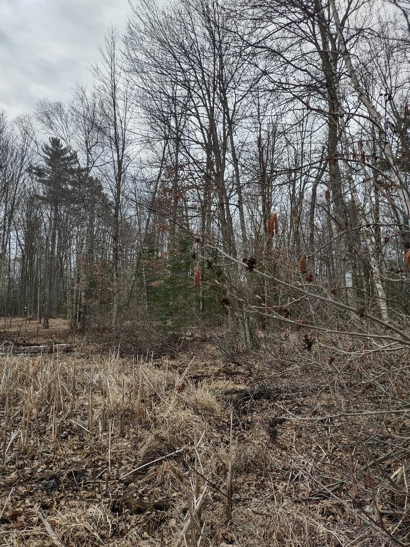 Lot 1 XXX Blaisziks Bay Lane, Hayward, Wisconsin image 6