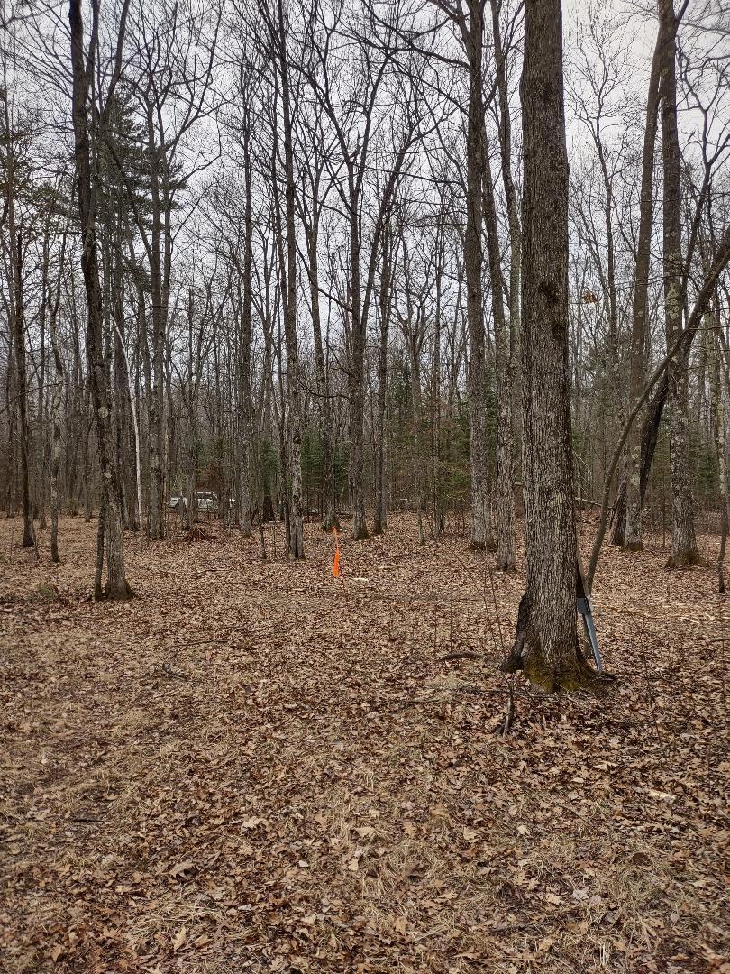 Lot 1 XXX Blaisziks Bay Lane, Hayward, Wisconsin image 9
