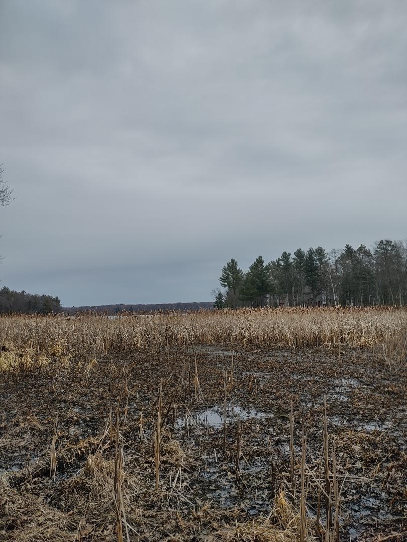Lot 1 XXX Blaisziks Bay Lane, Hayward, Wisconsin image 5