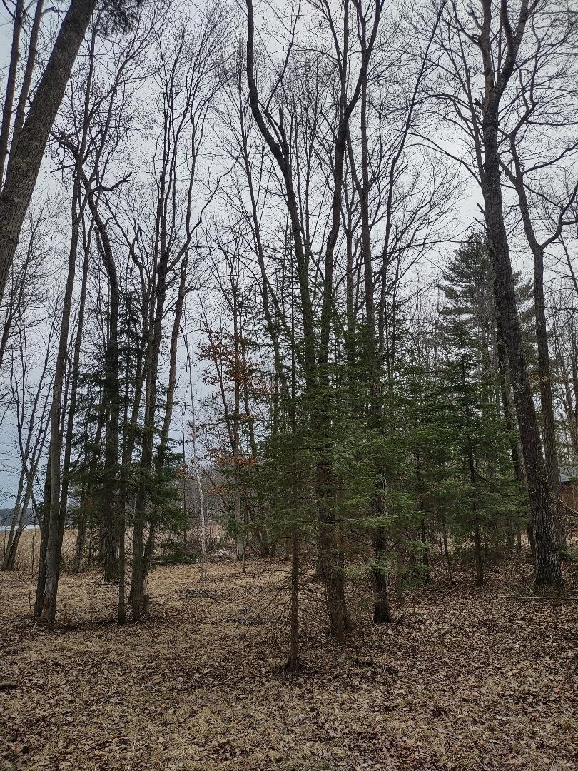 Lot 1 XXX Blaisziks Bay Lane, Hayward, Wisconsin image 17