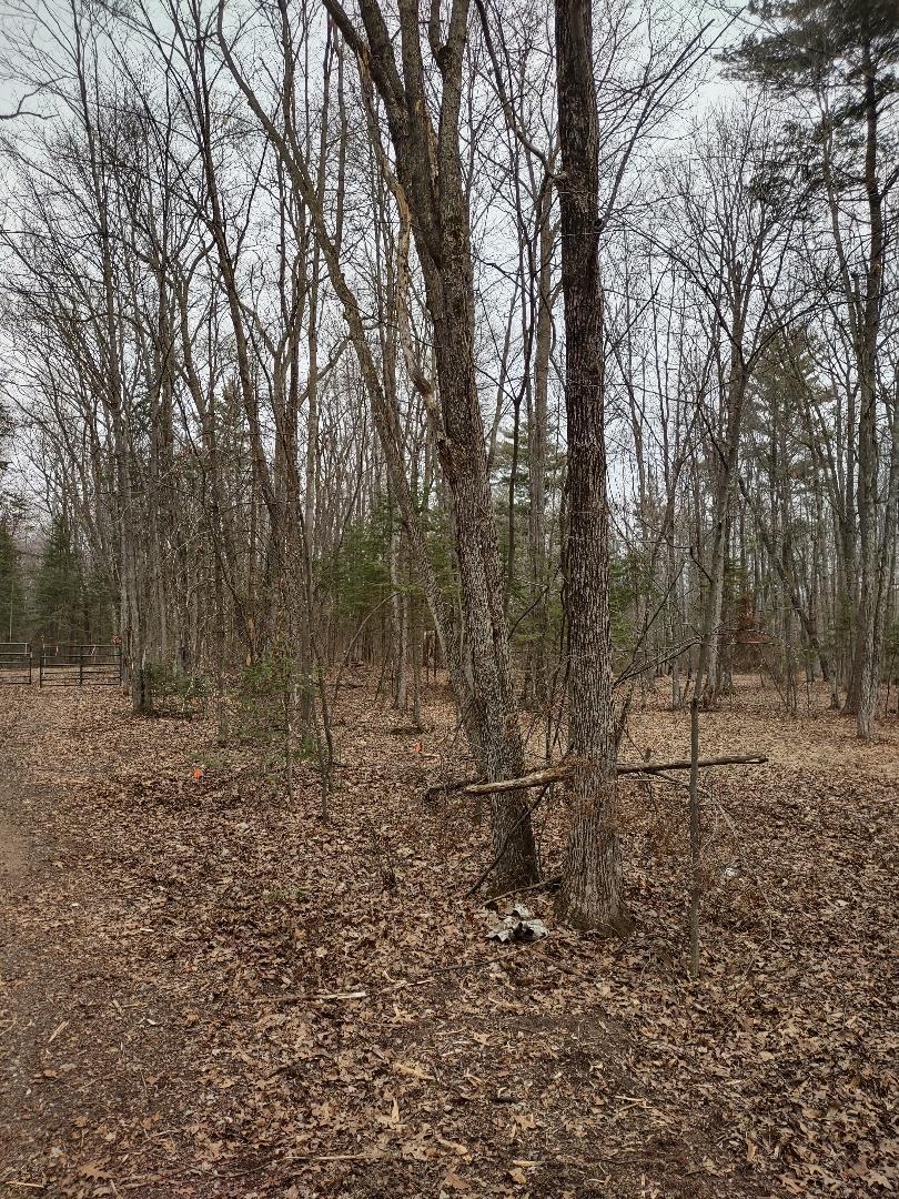 Lot 1 XXX Blaisziks Bay Lane, Hayward, Wisconsin image 11