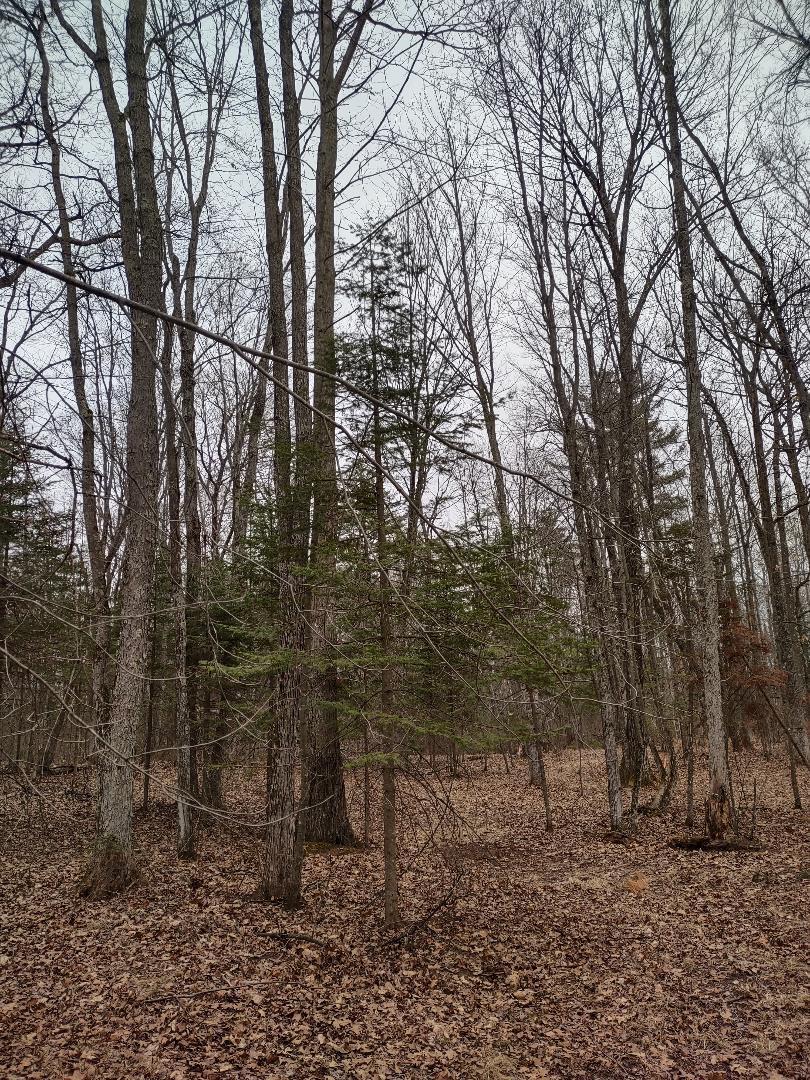 Lot 1 XXX Blaisziks Bay Lane, Hayward, Wisconsin image 14