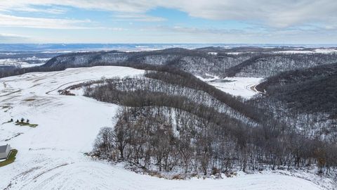 Vacant Land For Sale - TBD Maplewood Lane<br/> Buffalo County, Alma, WI 54610