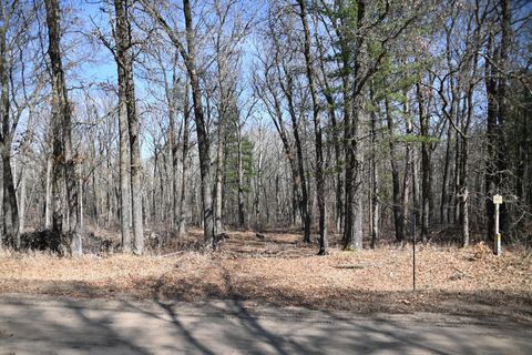Vacant Land For Sale - 38970 Odin Court<br/> Todd County, Browerville, MN 56438