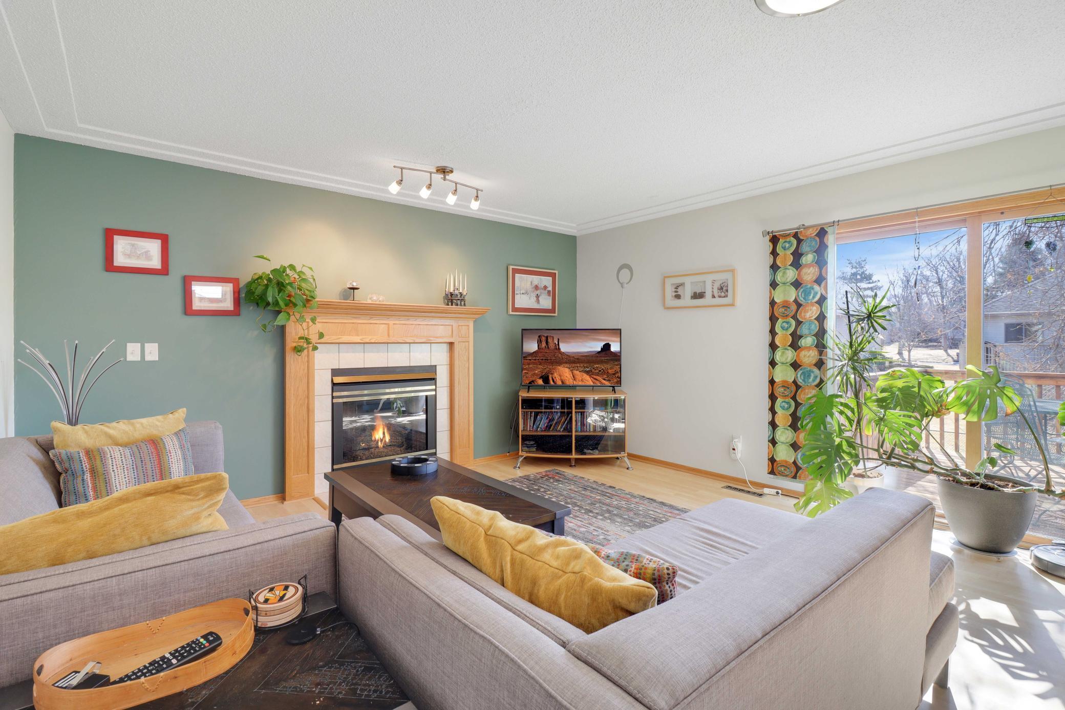 2340 130th Lane, Minneapolis, Minnesota image 9