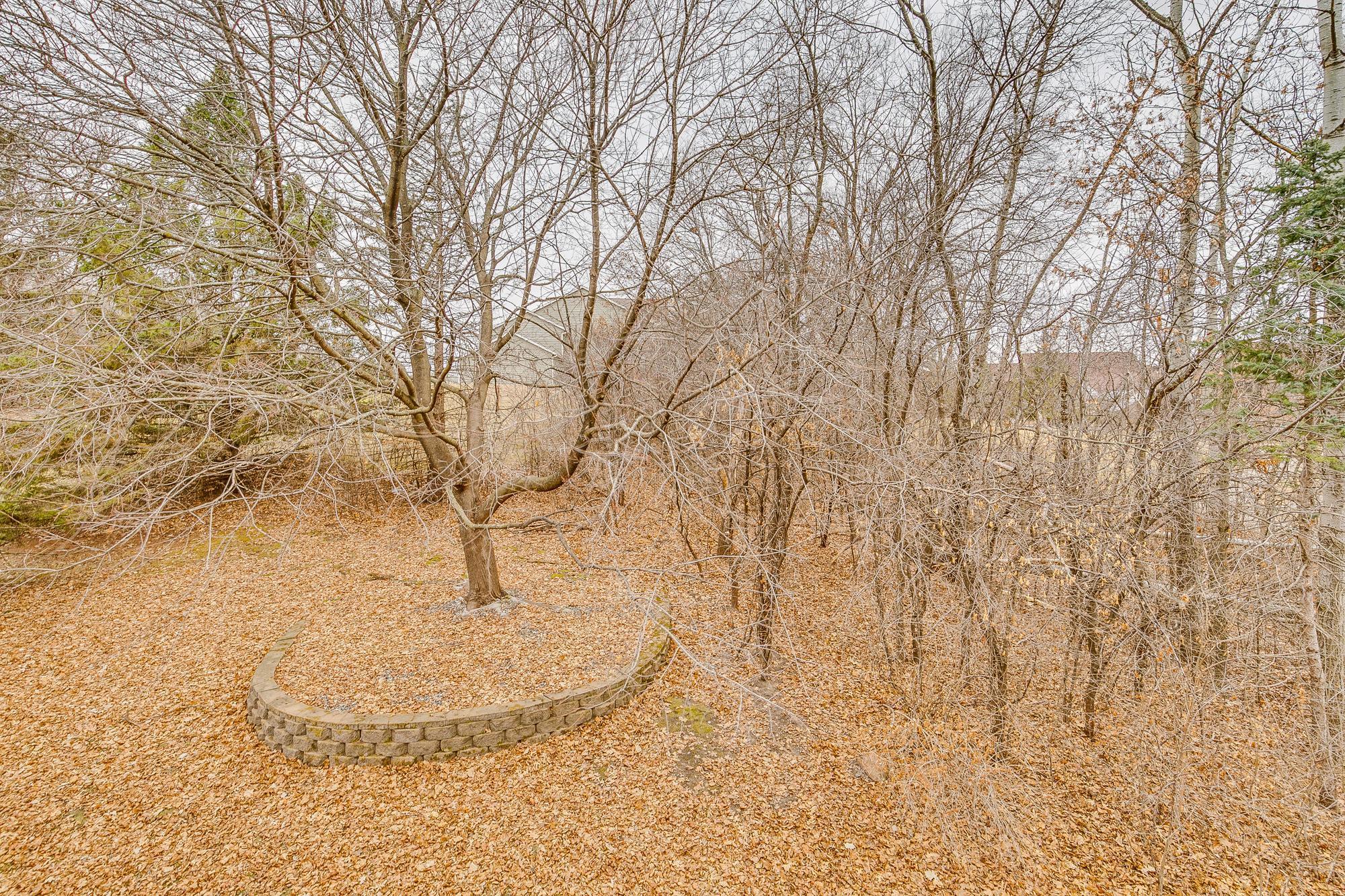 3569 Blue Jay Way #201, Saint Paul, Minnesota image 6