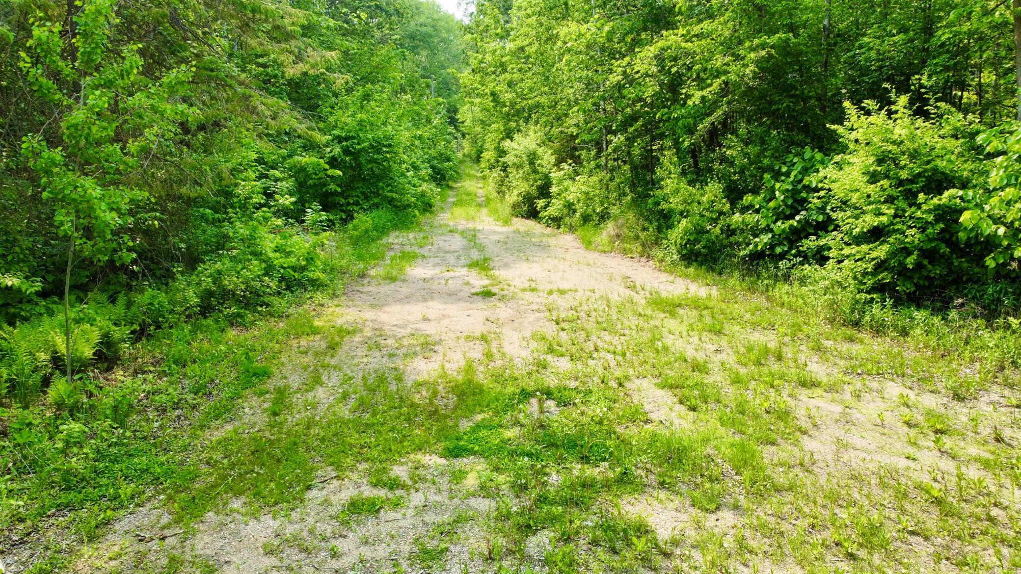 37551 County Road 126, Rochert, Minnesota image 10
