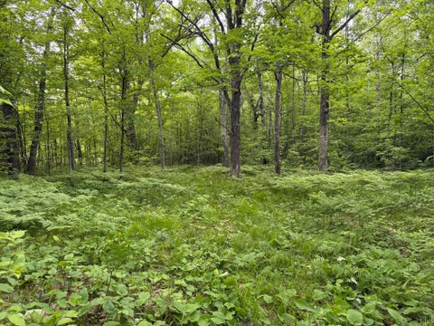 Vacant Land For Sale - TBD Sandhill Crane Ln<br/> Pine City, MN 55063