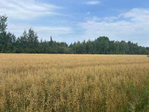 Homes For Sale - 10241 230th Avenue<br/> Strathcona, MN 56759