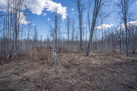 Vacant Land For Sale - 60XX Rycor Lane Lot 7<br/> Duluth, MN 55811