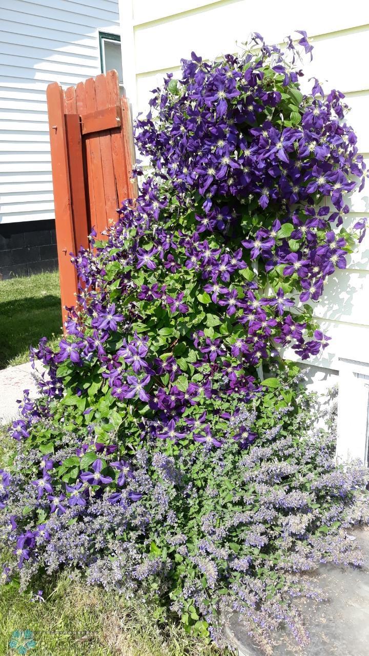 Wahpeton, North Dakota 58075, United States, 5 Bedrooms Bedrooms, ,3 BathroomsBathrooms,Residential,Active,49022