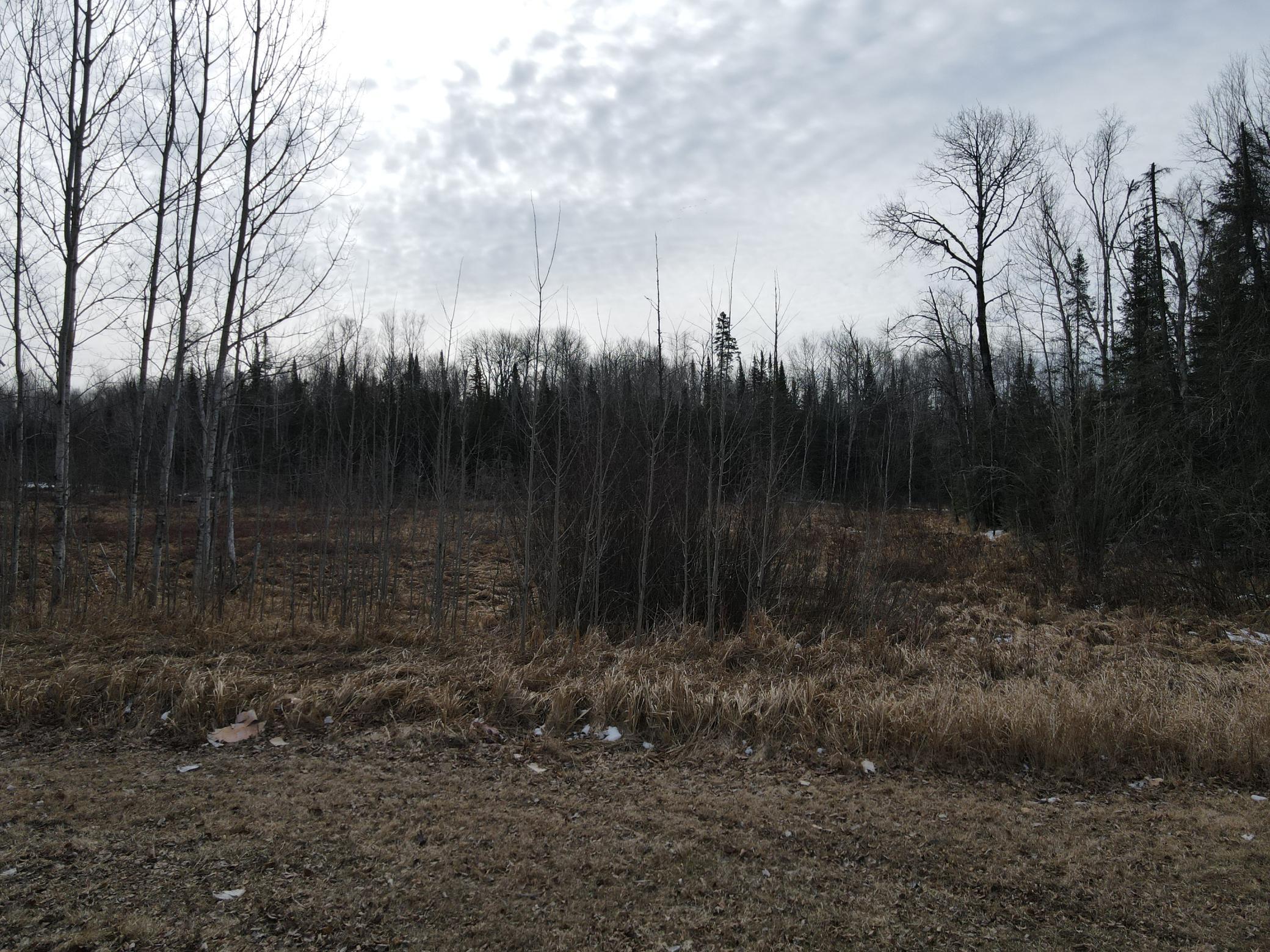TBD East Stone Lake Road, Iron, Minnesota image 7