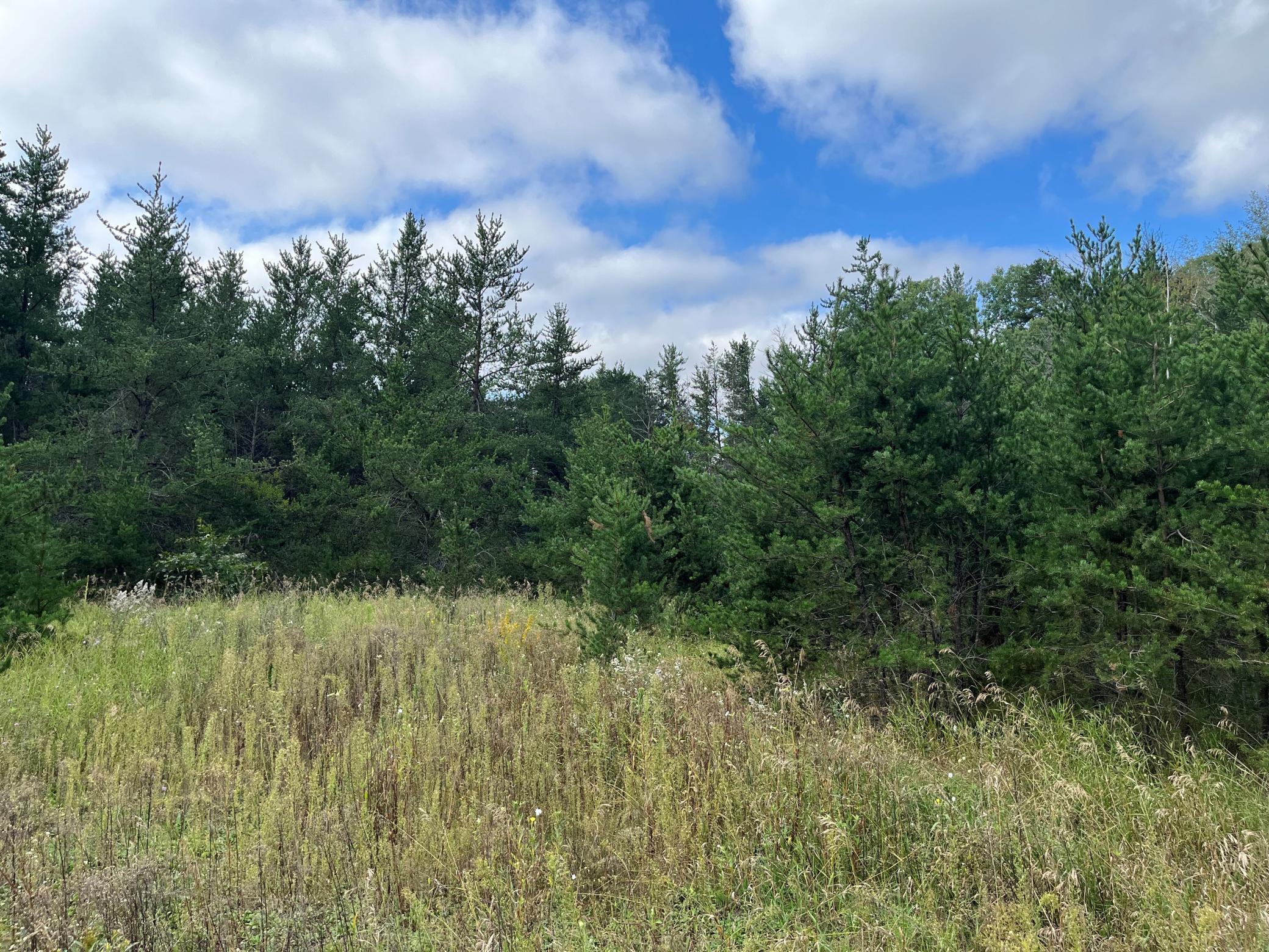 1707 Hassman Hill Tract D Road, Pine River, Minnesota image 1