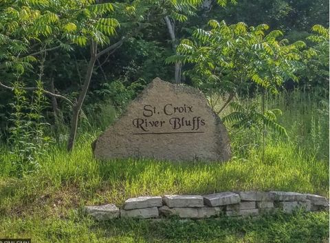 Vacant Land For Sale - X 263rd Street<br/> Shafer, MN 55074