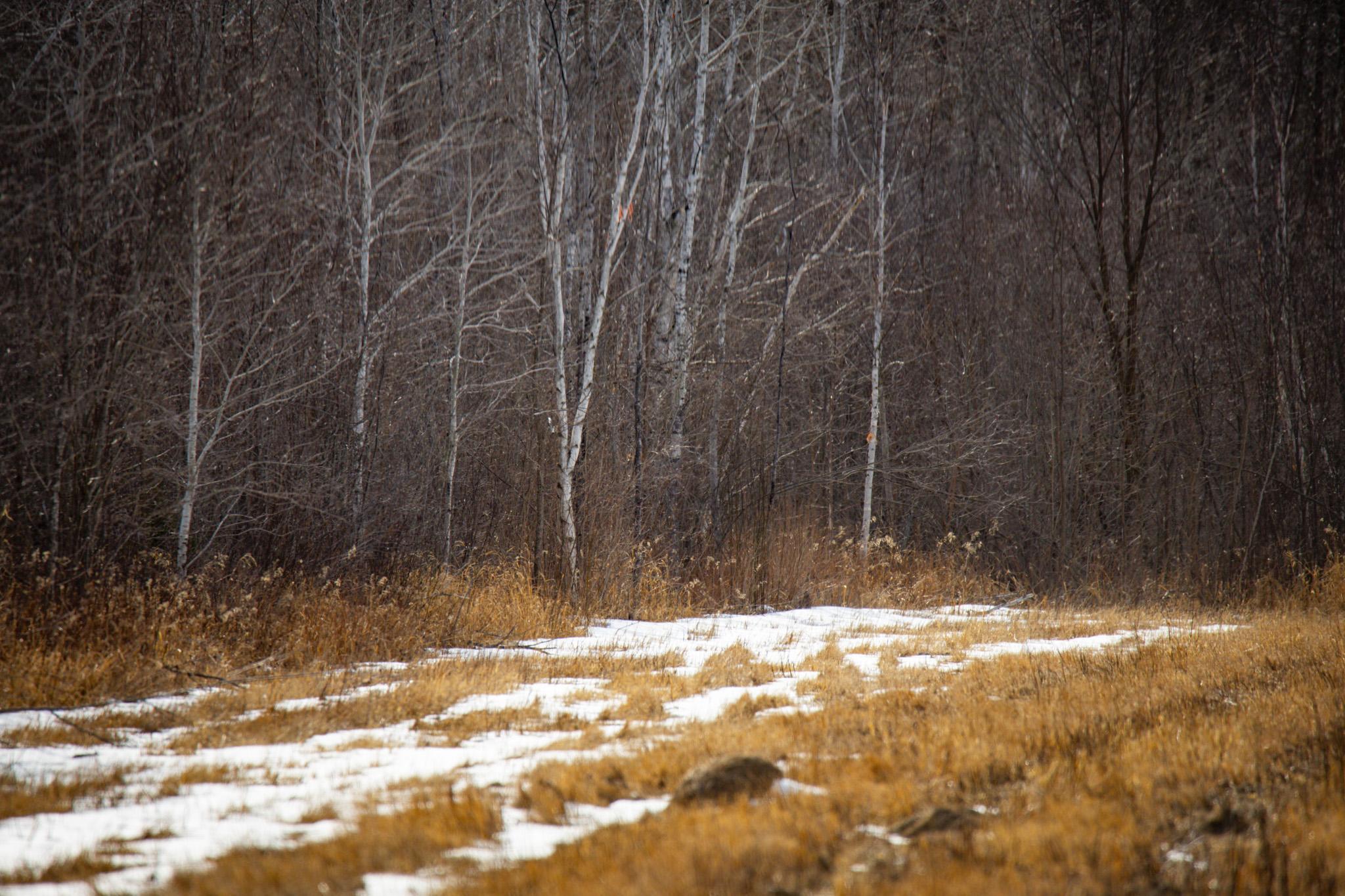 TBDW80 Cormant Road, Kelliher, Minnesota image 26