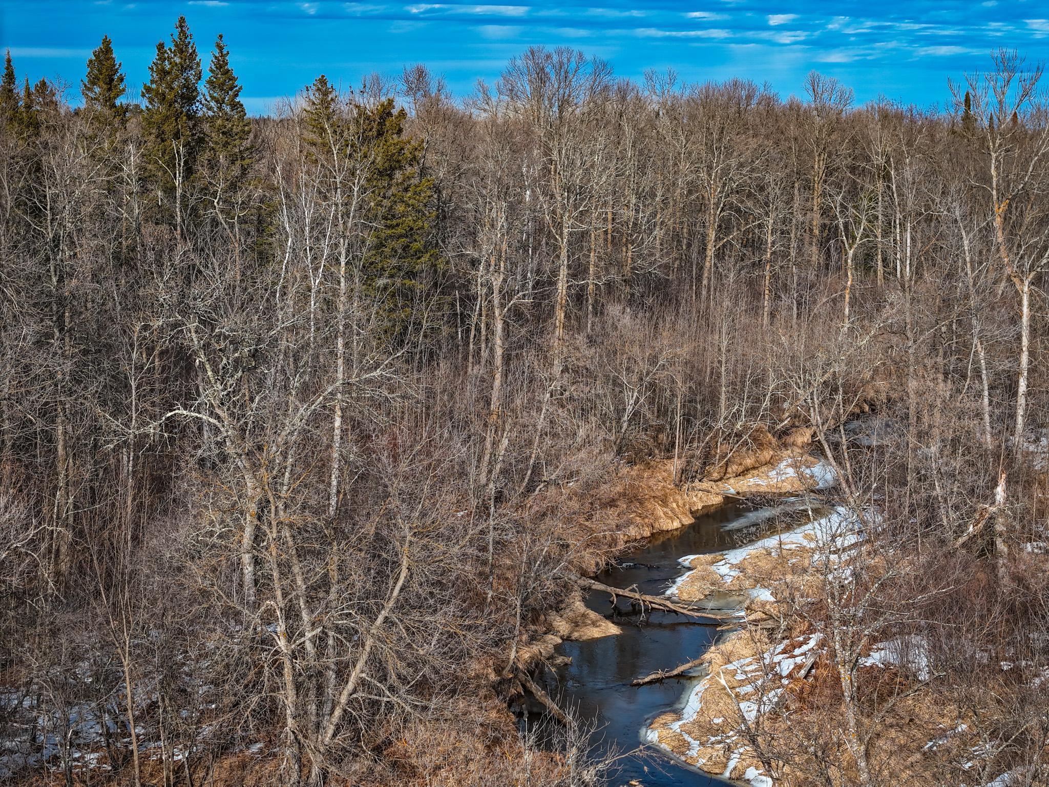TBDW80 Cormant Road, Kelliher, Minnesota image 9