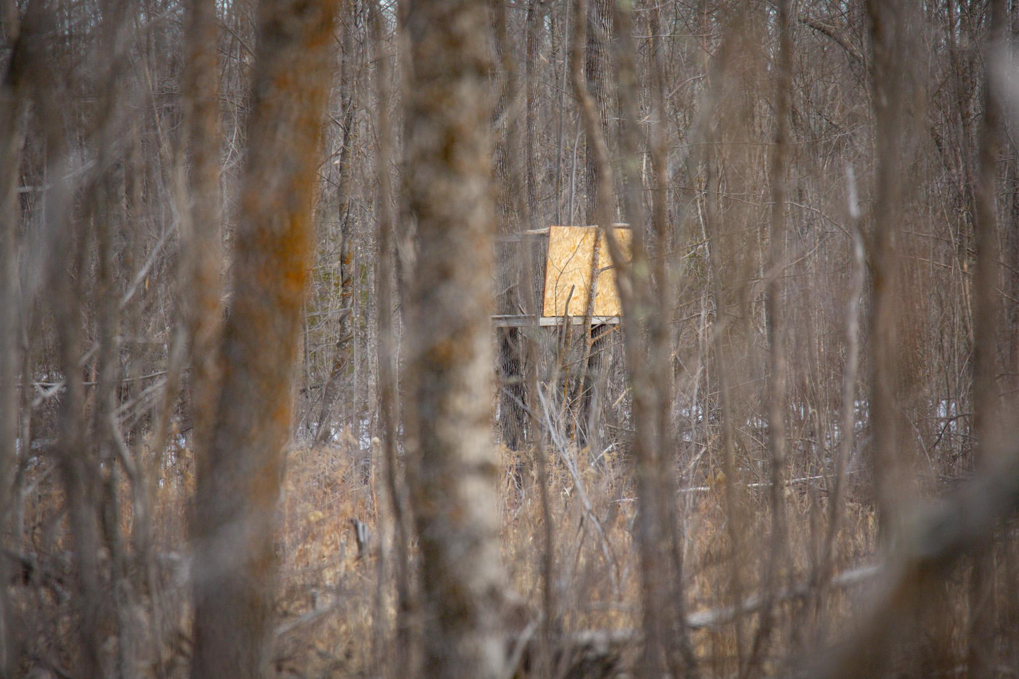 TBDW80 Cormant Road, Kelliher, Minnesota image 23