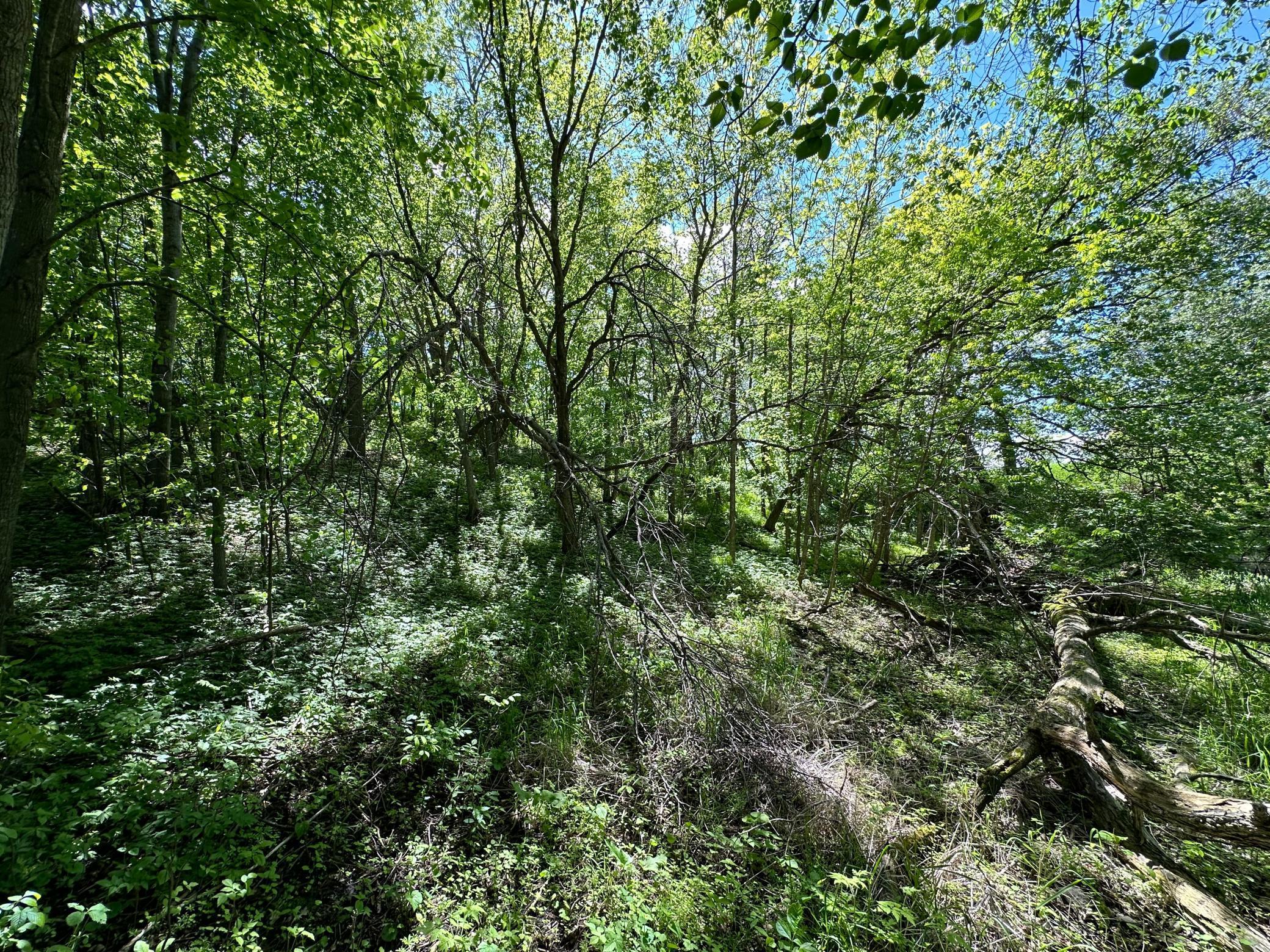 XXX Beaver Dam Road, Dent, Minnesota image 13