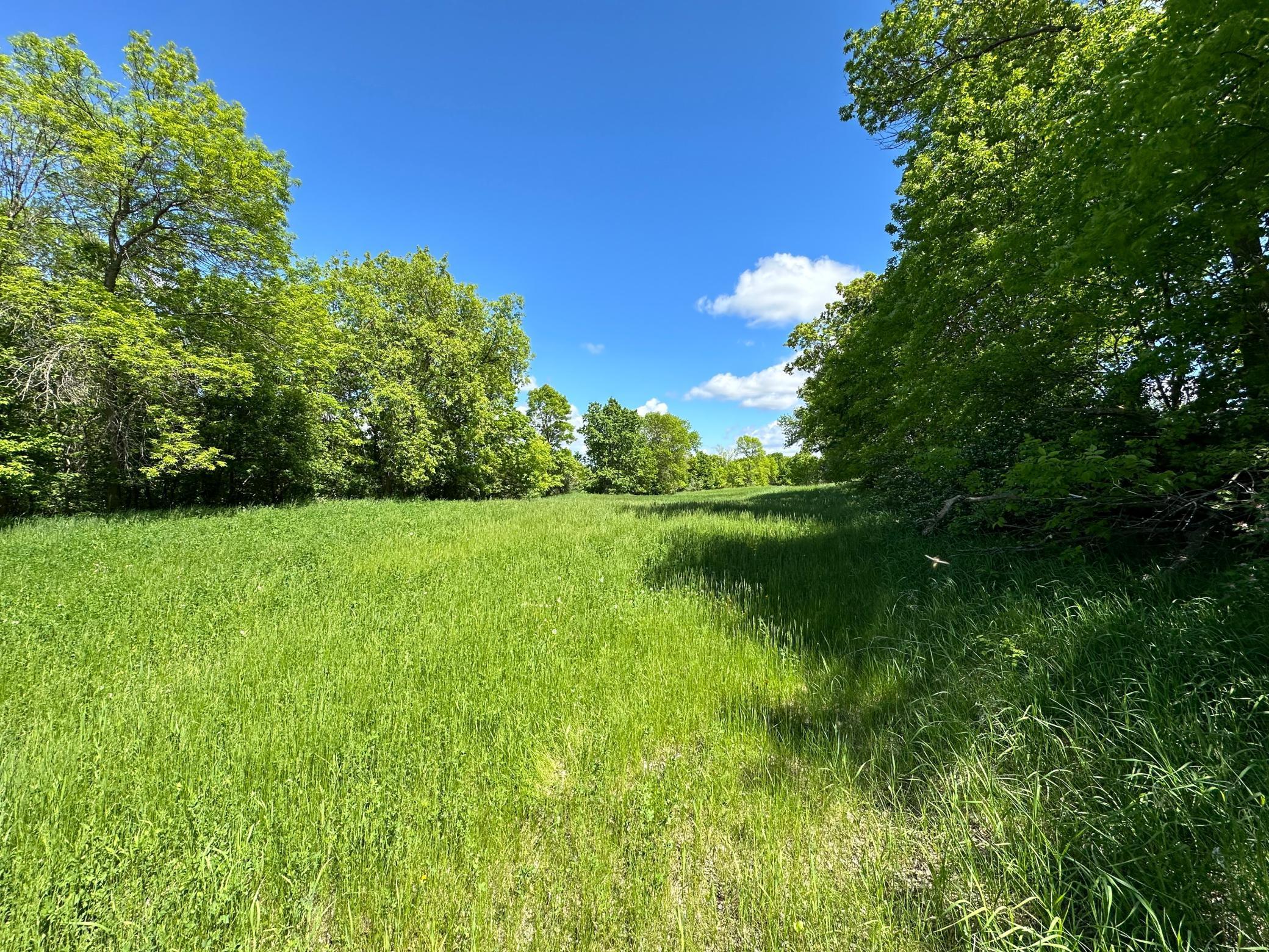XXX Beaver Dam Road, Dent, Minnesota image 9