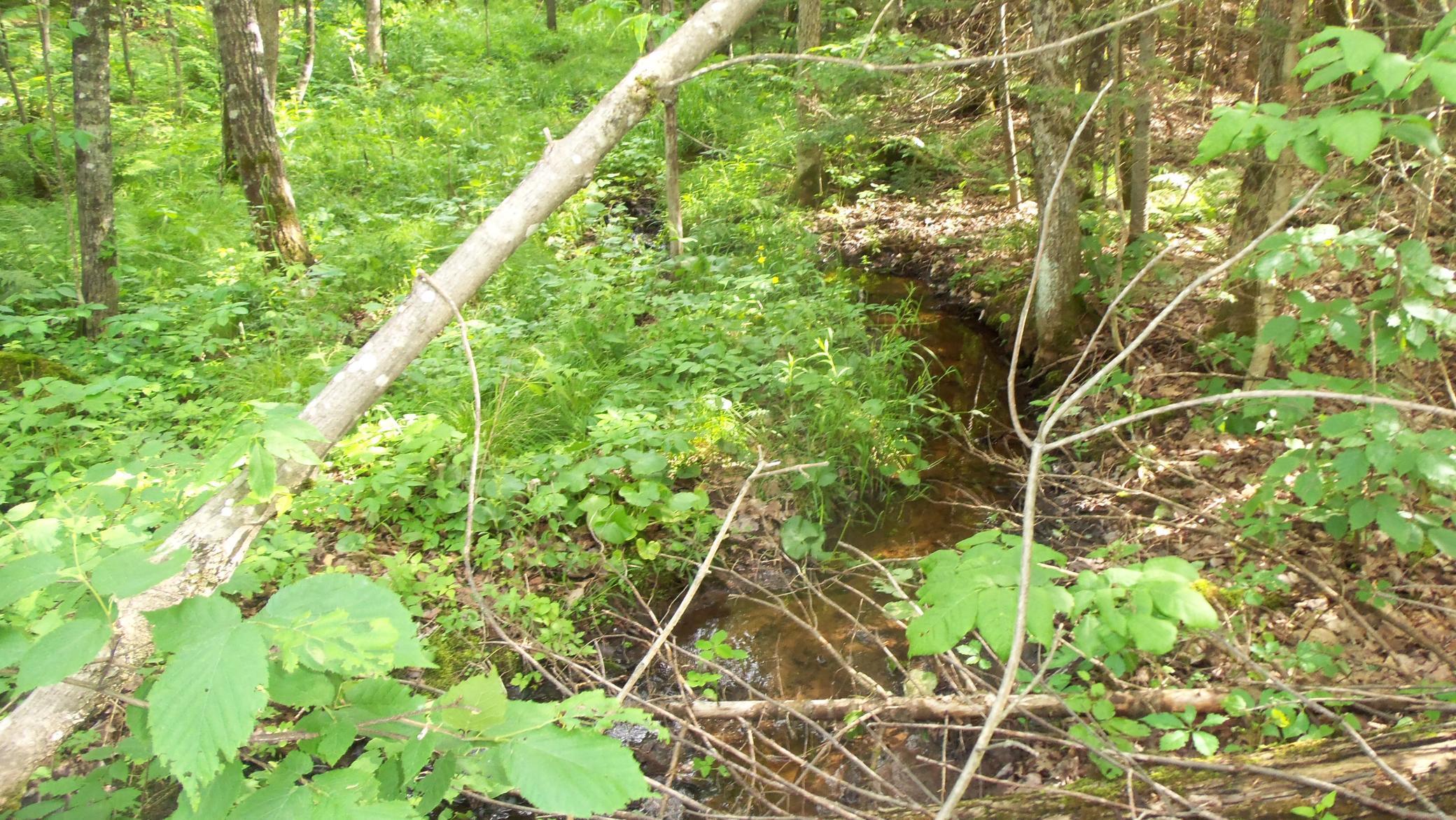 90 Acres Kornstead Rd, Mellen, Wisconsin image 33