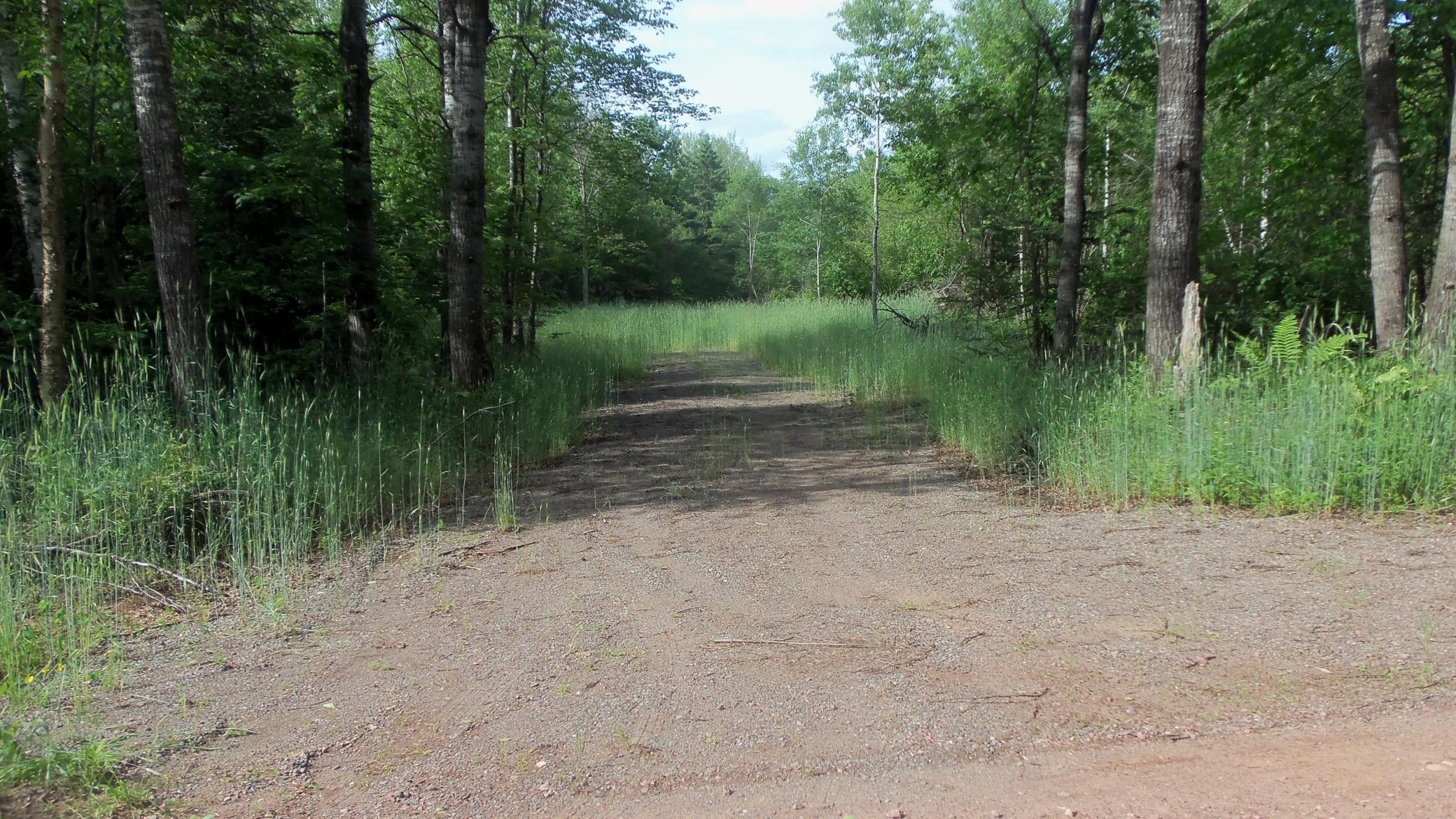 90 Acres Kornstead Rd, Mellen, Wisconsin image 25