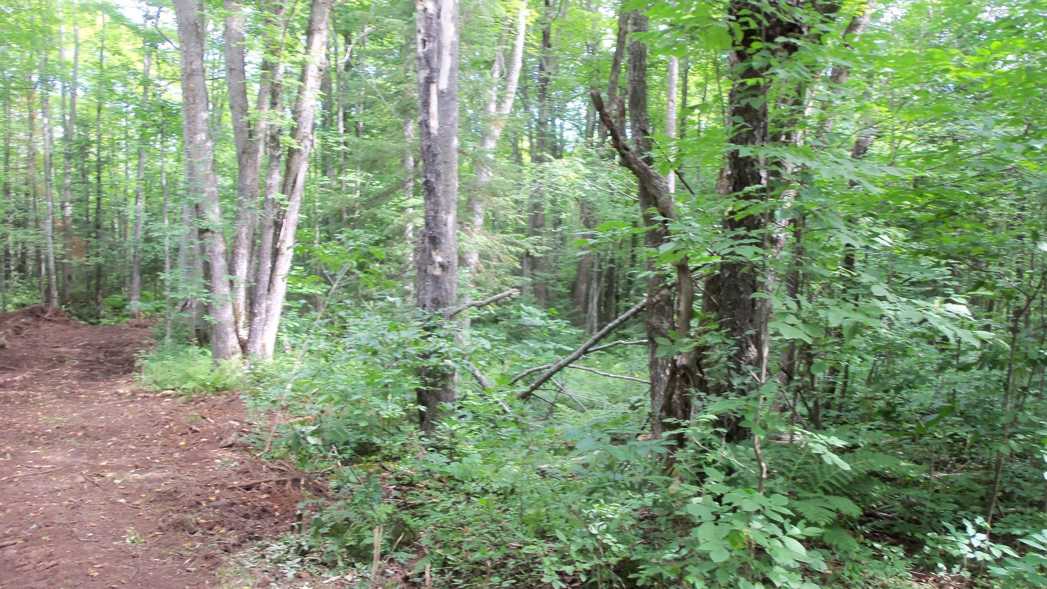 90 Acres Kornstead Rd, Mellen, Wisconsin image 5