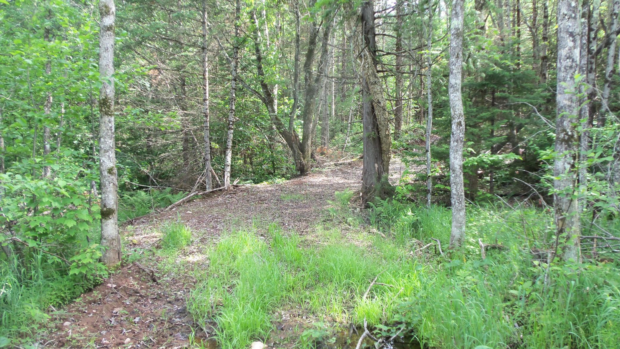 90 Acres Kornstead Rd, Mellen, Wisconsin image 19